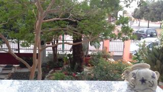 Prama 'e Mari - Oristano - 4