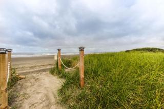 Sunny Delight - Westport - 8