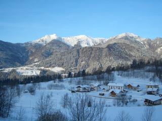 Villa Genziana - Ovaro - 1