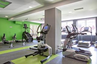 Hotel Central Sarajevo - gym, wellness and SPA - Sarajevo - 3