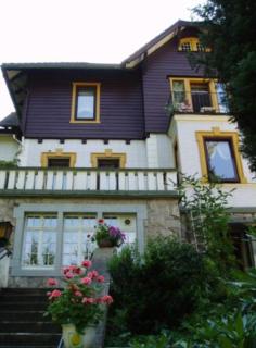 Ferienhotel Waldfrieden - Bad Sachsa - 0