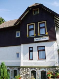 Ferienhotel Waldfrieden - Bad Sachsa - 3