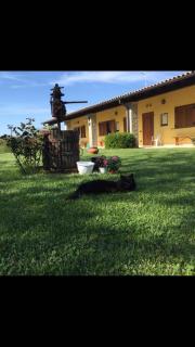 Agriturismo La Noce - Bassano Romano - 3