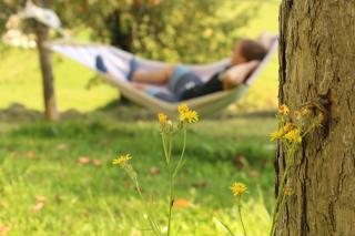 Urlaub am Zechnerhof - Straßburg - 3