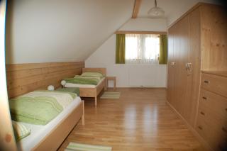 Urlaub am Zechnerhof - Straßburg - 7
