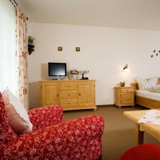 Pension Landhaus Hochfeld - Zwiesel - 1