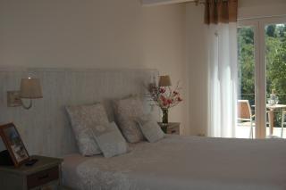 Les Jardins de Soulane B&B - Adults only - Belcastel-et-Buc - 1