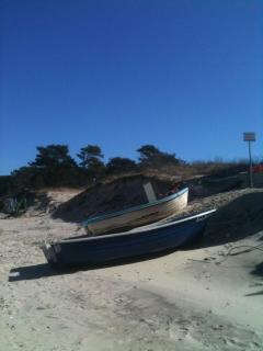 Zempin Ostseepark WE 36 _Insel Use - Zempin - 2