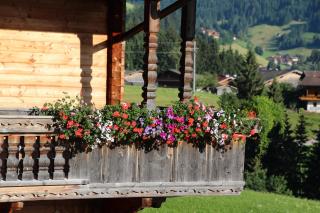 Appartements Moahof Zuhaus - Alpbach - 9