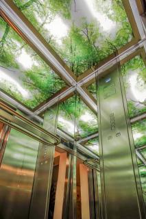 Venis Boutique Hotel - Bucharest - 2