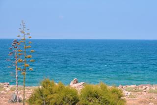 Villa Maria al mare - Capilungo - 2