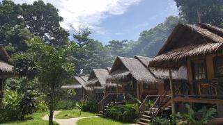 Jungle Garden - Ko Chang - 0