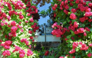 Boutique Vila Artemide - 2