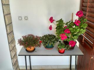 Apartmani Tonica - Sukošan - 8
