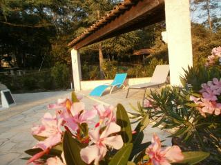 Lorgues, La Tourelle, immense piscine, plongeoir, vue, au grand calme - Lorgues - 8