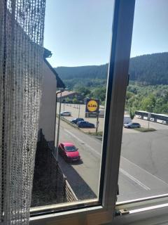 Rosen Garten Haus - Titisee-Neustadt - 3