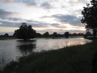 Fewos in Klein-Grindau - Schwarmstedt - 5
