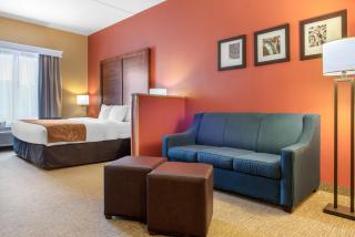 Comfort Suites Louisville Airport - 2