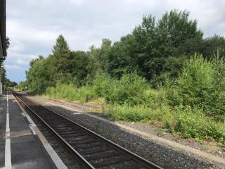 Stellwerk, optional mit Sauna und Whirlpool - Dahlem - 7