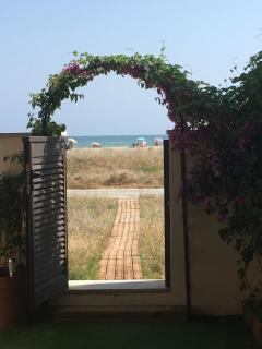 Beach flat with garden - 2