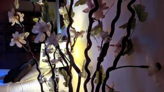 Le Café du Village - Bar à cocktails & à Ambiance - Lohéac - 6