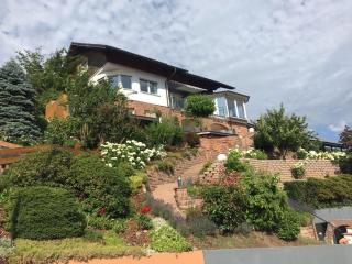 Schwarzwald Lodge Oppenau - 8