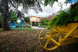 B&B Da Marcella - Oristano - 3