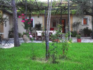 TheNi Olive Grove Villa - Káto Yerakaríon - 7