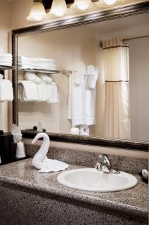 Castle Inn and Suites Anaheim - Anaheim - 7
