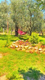 Sunray Separate Villa - Skala Sotiros - 6