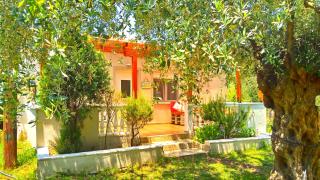 Sunray Separate Villa - 2