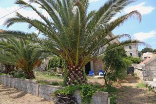 Beach Villa Olivia - Lumbarda - 1