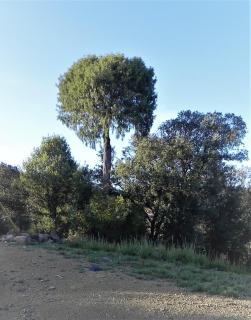 Mas de Muñoz - Mora de Rubielos - 5