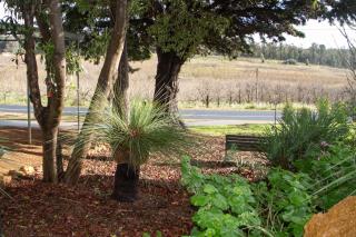 Farview Guest Accommodation - Pickering Brook - 6