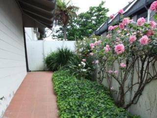 Epsom Motel - Auckland - 1