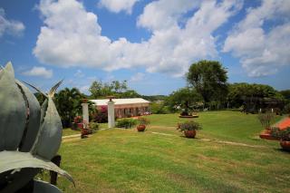 Villa with swimming pool and garden view MQSA20 - 7