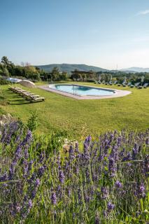 Agriturismo Podere Casetta - Monterotondo - 2