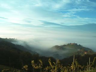Weingut Schlafgut Genussgut Lorenz - Kitzeck im Sausal - 2