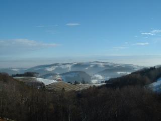 Weingut Schlafgut Genussgut Lorenz - Kitzeck im Sausal - 1