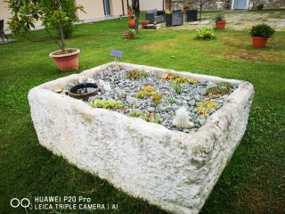 Cà Thomas - Castelnuovo Magra - 2