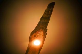 Hotel Bett und Buch - 6