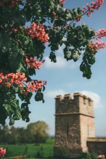 Rowton Castle - Shrewsbury - 2