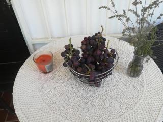 Apartmani Parlov - Vinišće - 9