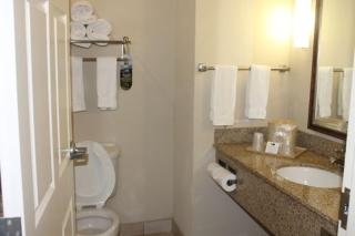 Holiday Inn Express Hotel & Suites New Iberia - Avery Island by IHG - New Iberia - 5
