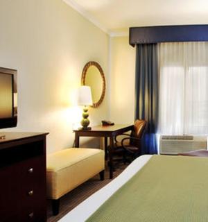 Holiday Inn Express Hotel & Suites New Iberia - Avery Island by IHG - New Iberia - 3