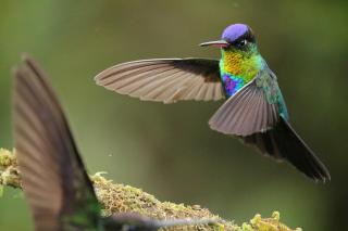 Iyok Ami (Madre Tierra) - 3