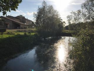Domaine du Colombier, Chambres d'Hotes - Larroque - 7
