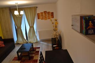 Apartament Pheonix - Buşteni - 6