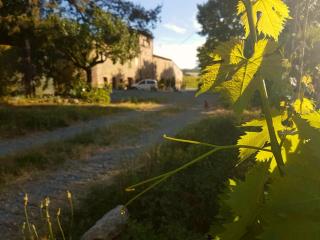 Agriturismo Podere Molino - Peccioli - 7