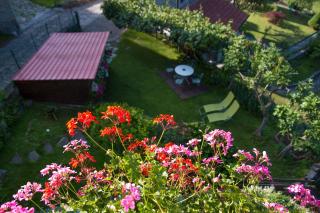Holiday Home Liliana - Faggeto Lario - 2
